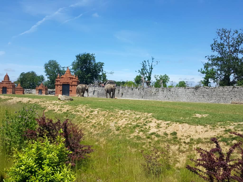 view of elephants in pairi Daiza, one of the zoos in Belgium