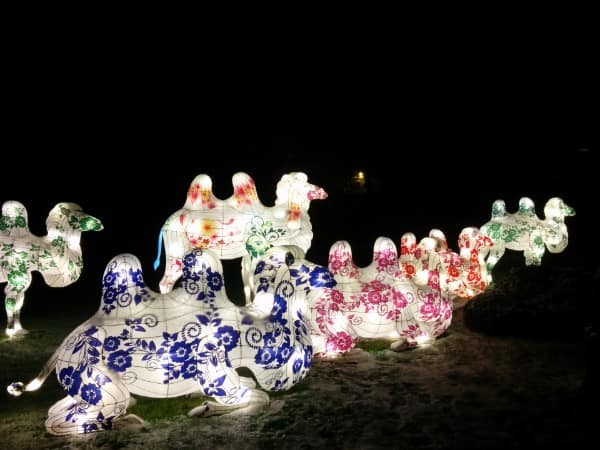 A light artwork in the form of illuminated camels