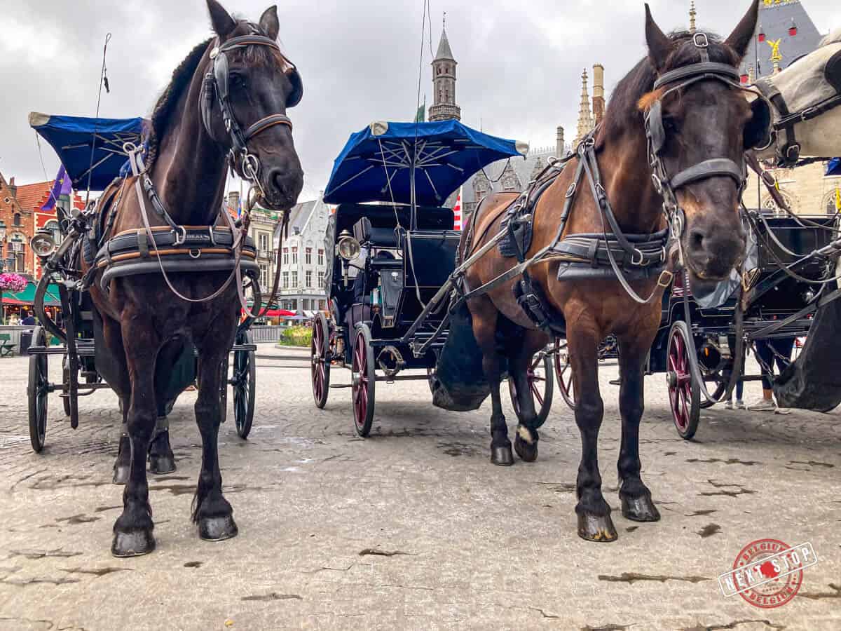 Horses and carriages in Bruges.