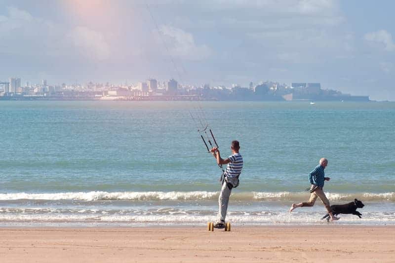 Tourists and a dog at a beach