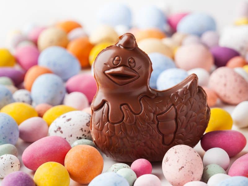 Chocolate bunny close up surrounded with sweet treats