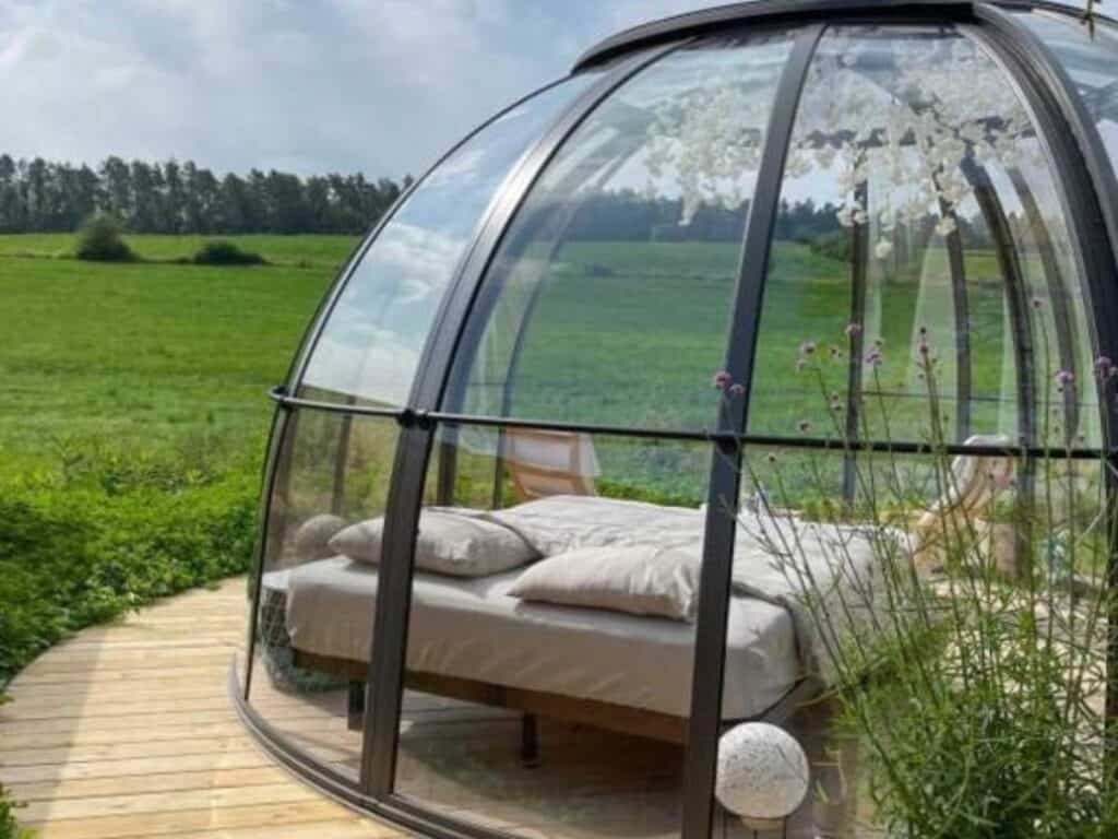 transparent bubble accommodation set in a tranquil natural setting