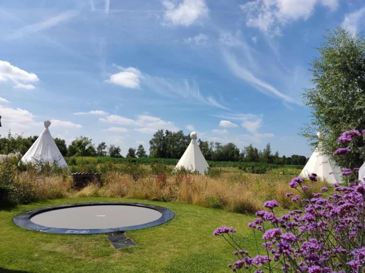 The image presents an exterior view of Landgoed Omorika, highlighting its grand architecture set amidst beautifully landscaped gardens.