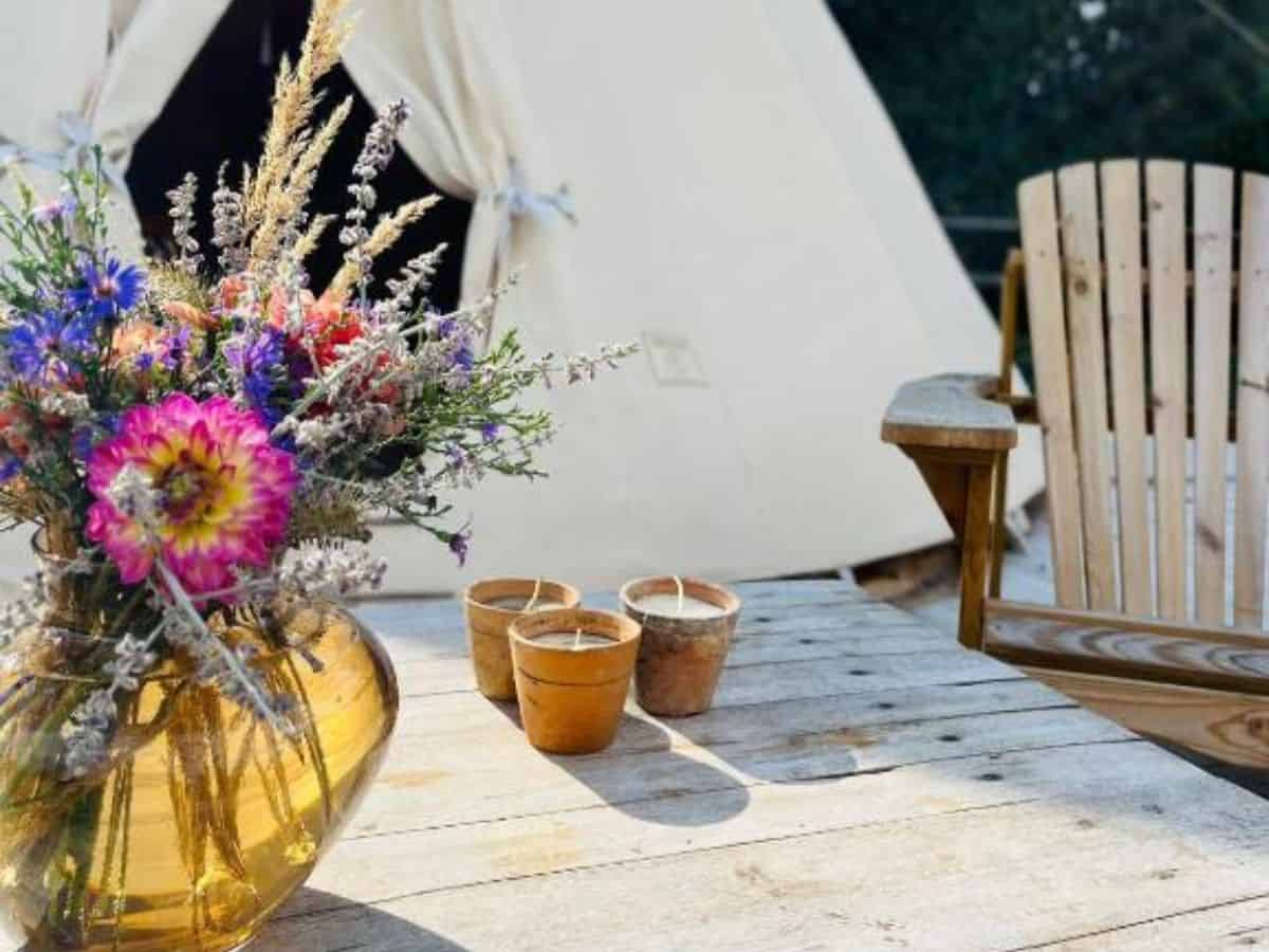 Tipi Marie's Glamping morning view, with fresh flowers at the table.
