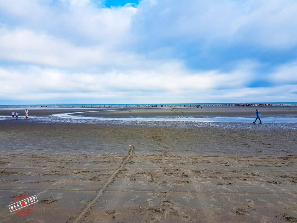 A wide beach a low tide.