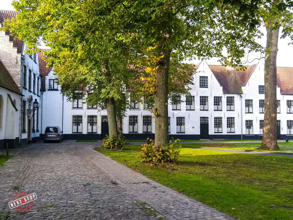 Bruges' Beguinage courtyard with a path lined by trees and surrounded by historic white-walled buildings.