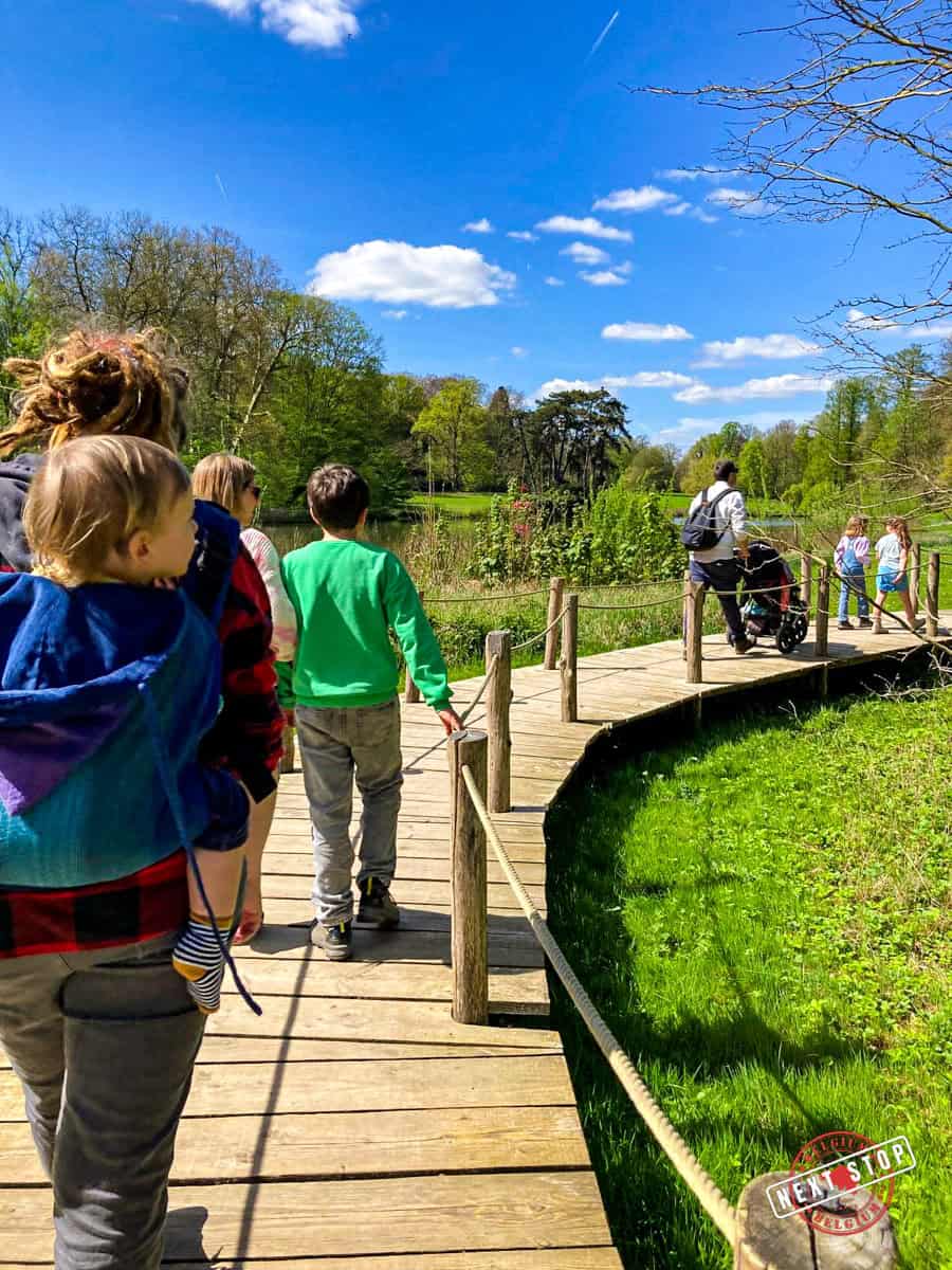 We're roaming the botanical garden with the kids and we took this wooden path.